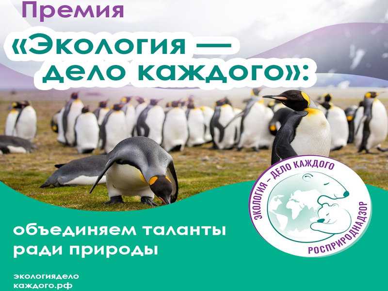 Экология — дело каждого!