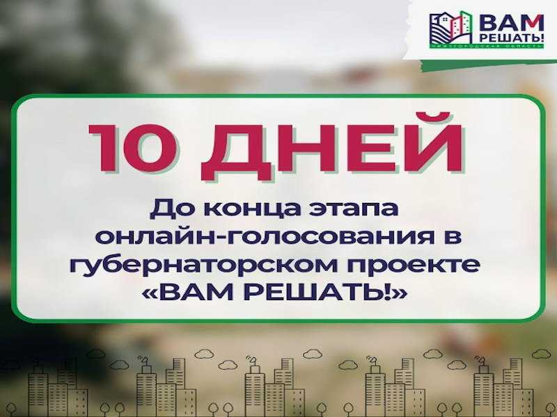 Осталось 10 дней до конца голосования в рамках губернаторского проекта инициативного бюджетирования 