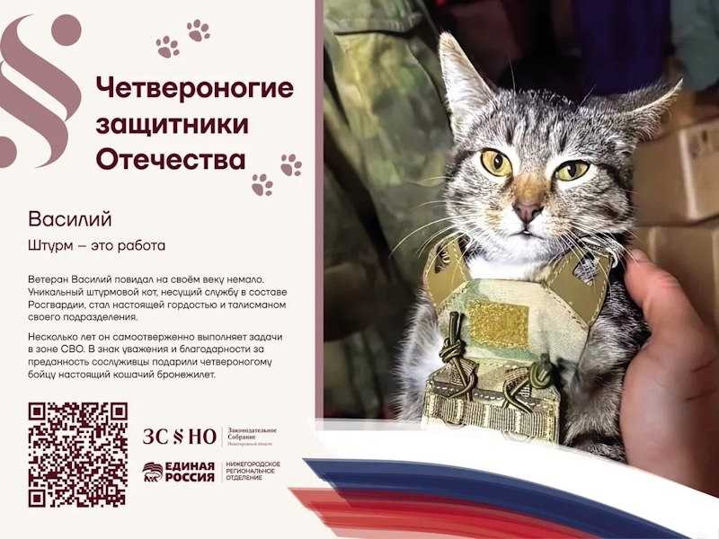 Гав и Мяу на страже ваших жизней: выставка «Четвероногие защитники Отечества» открылась в Нижегородской области.